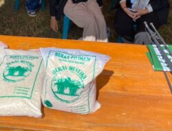 Mahasiswa PMM UMM Dampingi Petani Desa Kalang dalam Menciptakan Branding Beras untuk Tingkatkan Hasil Pertanian