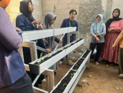 Mahasiswa KKNT IPB Kenalkan Program Vertikultur di Desa Lemahmulya sebagai Solusi atas Penggusuran Lahan Pertanian