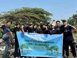 Hijaukan Pesisir, Lawan Abrasi! Aksi Nyata KKN-T IPB University Tanam Mangrove untuk Mitigasi Abrasi di Desa Limbangan, Indramayu