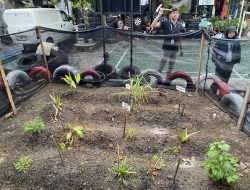 Mahasiswa KKN-T 125 Undip Sulap Lahan Kosong dan Ban Bekas Menjadi Taman Mini TOGA
