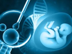 Teknologi Inseminasi Menurut Perspektif Hukum Islam