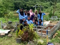 Kolaborasi Mahasiswa KKN UIN Walisongo Semarang dan Masyarakat Wujudkan 6 Taman TOGA Berbasis Inovasi Lokal untuk Tingkatkan Kesehatan Desa