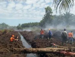 Di Balik Efisiensi Semu: Bahaya Pembukaan Lahan Gambut dengan Cara Membakar