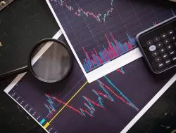 Dampak Kualitas Sumber Daya Manusia (SDM) Terhadap Perkembangan Ekonomi di Indonesia