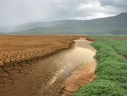 Menghadapi Ketidakpastian: Dampak Perubahan Iklim terhadap Ketahanan Pangan dan Kesejahteraan Petani-Nelayan Indonesia